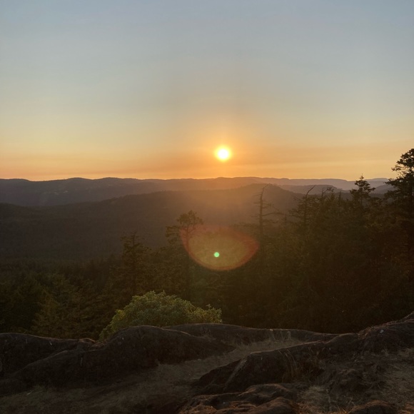 Meet your Posher, Antonia - Picture 1 of 1